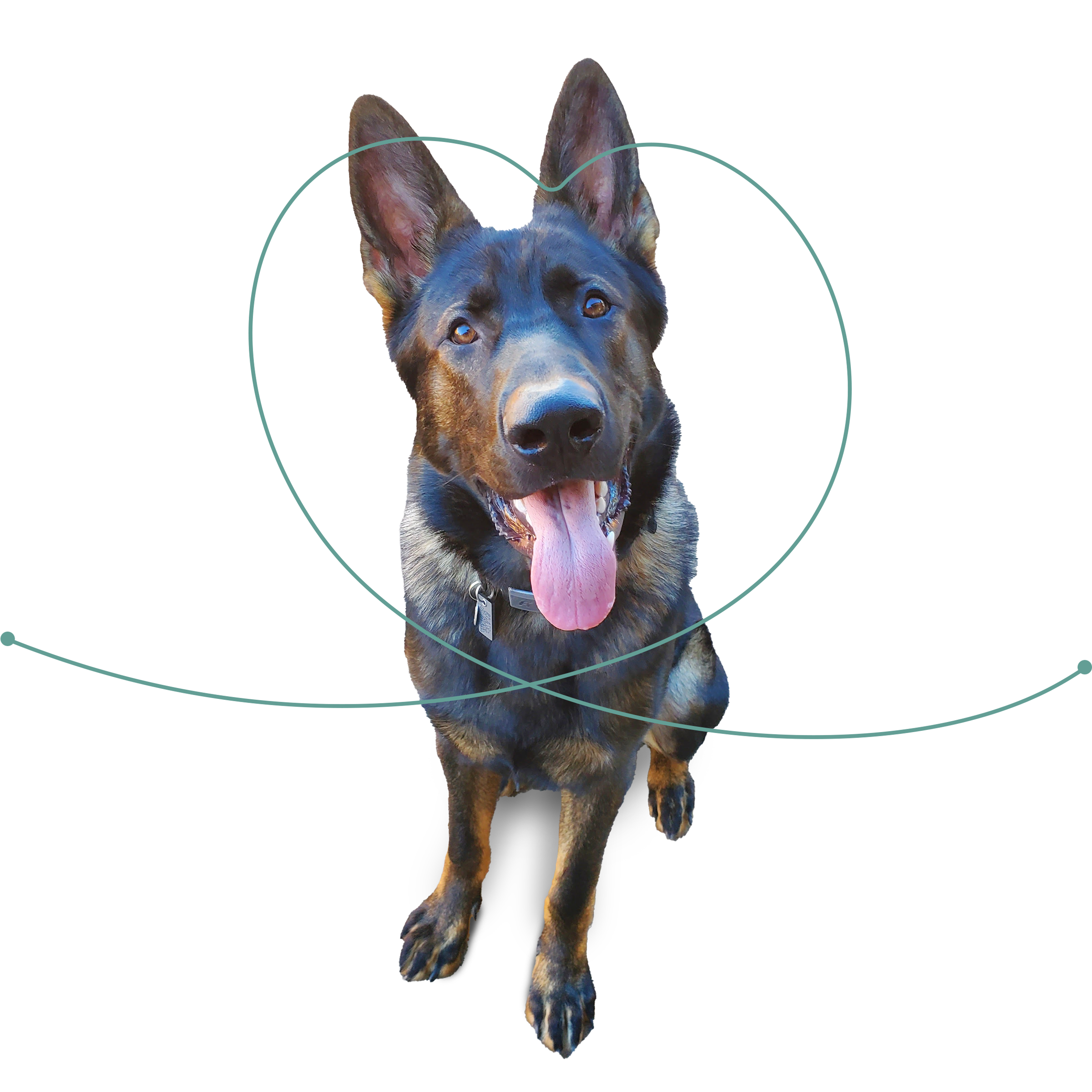 best non-squeaky durable dog toys Squeak or Not Removable Squeaker Dog Toys: All Sizes main image 0